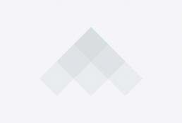 Apprenticeship review
