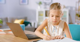 Distance learning self-evaluation