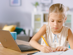 Distance learning self-evaluation