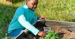 gardening in schools