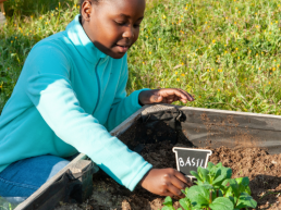 gardening in schools